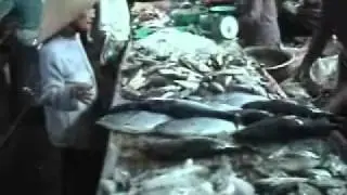 Mui Ne fish market Vietnam Nov 2002