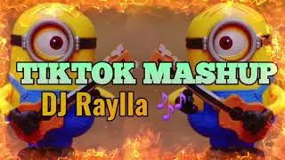 Dance se souber - dancinhas do tiktok - DJ Raylla 🎶