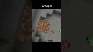 #minecraft👾 #rakshxd 😎