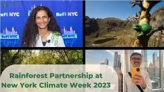 Rainforest Partnership at Climate Week NYC 2023