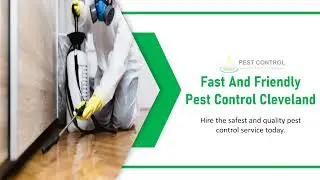 Fast And Friendly Pest Control Services in Cleveland | Cockroaches, Ants and Spider Control Service