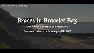 Braces in Bracelet Bay 2022: Andrew Darlington