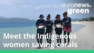 These women are combining Indigenous knowledge and science to save coral reefs