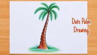 How To Draw A Date Palm Step By Step Very Easy | Tree Drawing | Date Palm Drawing