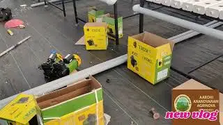 HYDROPONIC SYSTEM FORMING | ORGANIC PRACTICE #hydroponicforming #viralvideo 