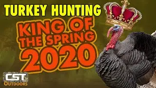 Turkey Hunting | King of the Spring 2020