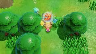 Bubble Kelp x10, Seesyde Village | The Legend of Zelda: Echoes of Wisdom (NS)