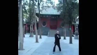 Shaolin Xin Yi Ba Stake Skills by Master Shi De Qiang at the Shaolin Temple