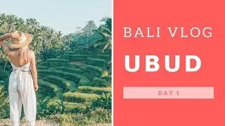 Bali vlog, Ubud - Day 1 | Exploring Tegalalong Rice Terraces & Monkey Forest
