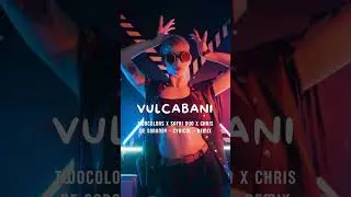 Cynical Remix &ndash; Twocolors x Safri Duo x Chris de Sarandy | Afro House 2025