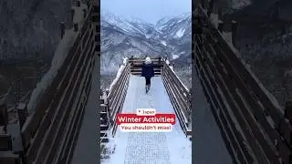 Activities not to miss this winter in Japan!