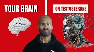 How testosterone Affects the Brain, Motivation and  Depression in Men