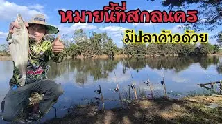 มีโอกาสกลับบ้านช่วงเทศกาลปีใหม่ เลยแวะมาตกปลาหนองพง ใกล้หมู่บ้านโพนงาม อ.กุดบาก จ.สกลนคร