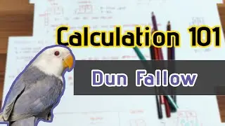 Lovebirds Genetic Calculation 101 - Dun Fallow