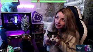 Nyuu Cat Visit  Christmas Emotes! 🎄 MEGAHYPERPOG