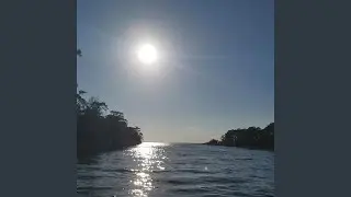 Fishing on the Saint Marks River