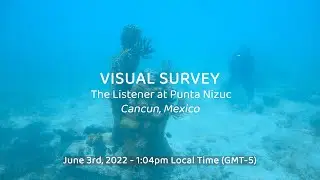 Survey of Mesoamerican Reef fish - June 3rd, 2022  | The Listener, Punta Nizuc