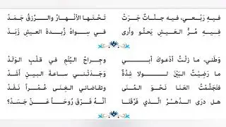 قصيدة 