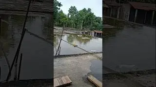 wait for end 😞😞#vipentry #viral #shorts
