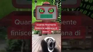Scimmia che fa versi strani dopo il lavoro: un video divertente per ridere