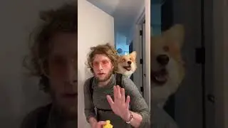 POV: Your neighbor is THIS GUY with a fluffy corgi in a backpack #funnydogs #shorts