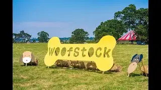 Highlights of Woofstock UK 2023