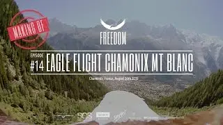 Freedom Conservation Eagles fly from the Br&eacute;vent, Chamonix, with superb Mt Blanc views