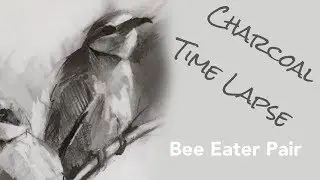 Charcoal Drawing Timelapse - Bee Eater Wildlife & Bird art