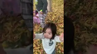 Playtime #autumnleaves #toddler #play