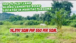 (Property #114)  1 HECTARE FARM FOR SALE IN MABITAC,LAGUNA, ! ALONG CEMENTED ROAD ! FLAT LAND !