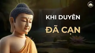 Khi Nghiệp Duyên Đã Cạn – Phật Dạy Cách Buông Khi Hết Duyên