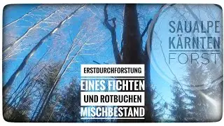 🌳🌲Rotbuchen und Fichten 1/2 🪵🪓 Erstdurchforstung/Gopro Action 🎬📽