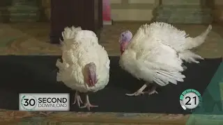 President Trump Pardons Thanksgiving Turkey 11.21.18