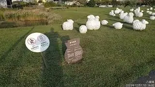 新北市八里區新北考古公園