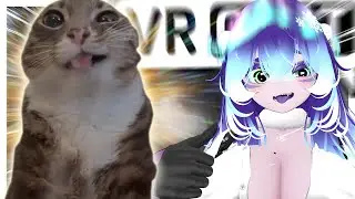 Freaky cat comes to VRCHAT (Rigby the cat)