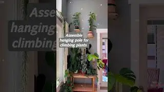 assemble hanging pole for climbing plants #rousseau  #climbingplants #hangingplant #urbangardening