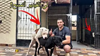 جودت بويكا وسلطان لكلابي الجديدة | كيرا وبجيرا😱