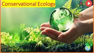 Ecology and Conservation: Protecting Our Planet Through Life Science - Explained in 7 Minutes