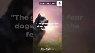 The Greatest Fear of Dogs: A Quote by Stanley Coren    #dog #dogquotes#doglover #dogshorts