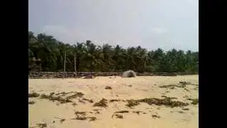 Video of Arthunkal beach, Chertala, Kerala, India