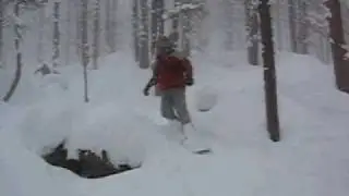 loads of powder in the woods - snowboard