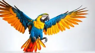 macaw moving wings