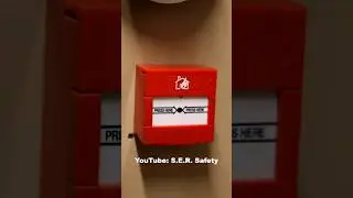 Call Point Fire Alarm Activation | #shorts