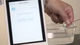 SecuRemote&reg; Developer's Kit for OEMs