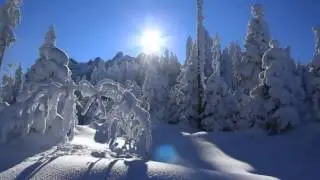 Ernesto Cortazar** Winter Emotions**