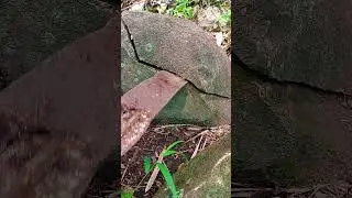 Treasure hunt slowly remove coated rock markings #treasure #shorts #virals