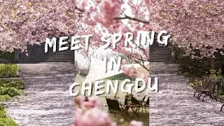 Let's embrace the blooming spring in Chengdu together🏵 #spring
