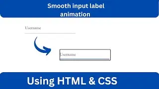 Search Input label underline Animation on Focus in Advance HTML & CSS | input label