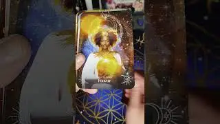 Pr&eacute;sentation de l'Oracle du soleil ☀️🌙de Stacey Demarco sortie le 6 mars 2025