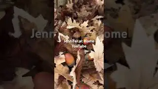 Such a beautiful season. 🍂 🍁 #fall #falldecor #decorating #autumndecor #leaves #leaf